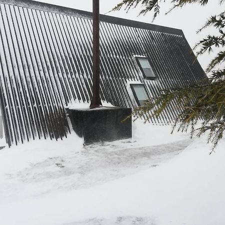 Chale Acolhedor - Penhas Da Saude - Serra Da Estrela Covilhã Eksteriør billede